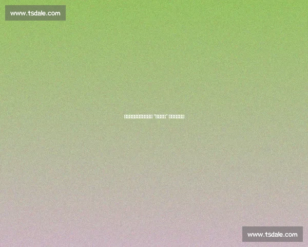 小球市的不朽传奇：邓肯 “一人一城” 为何最伟大？