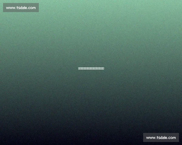 朴茨茅斯接近敲定热刺新星梁民革租借