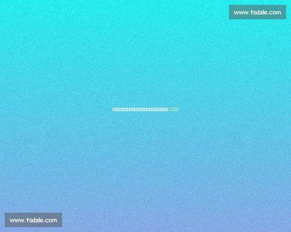 沙漠之花困境中绽放!叙利亚女足机场过夜迎战中国 U20 沙漠之花困境中绽放!叙利亚女足机场过夜迎战中国 U20