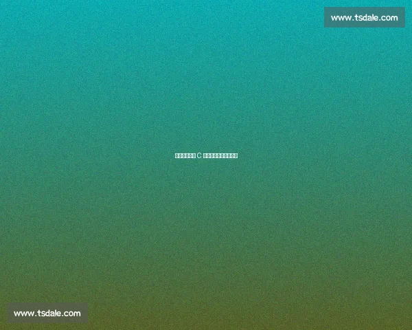 庞特斯眼中的 C 罗:葡萄牙的国家符号 庞特斯眼中的 C 罗:葡萄牙的国家符号