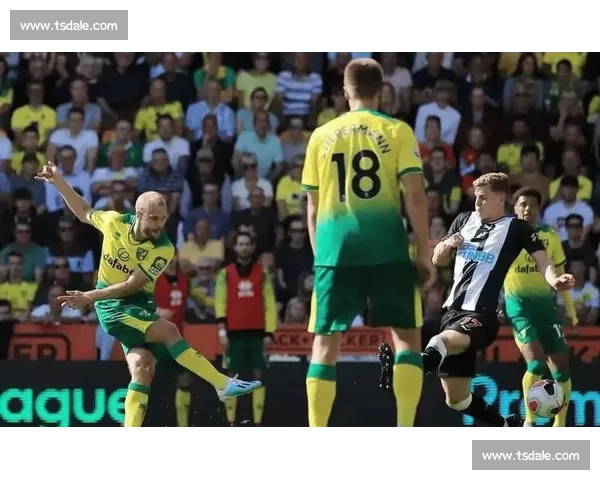 英冠焦点战诺维奇主场迎战女王公园巡游者胜负前瞻与关键看点解读